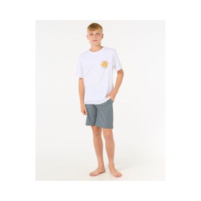 3. Szorty RIP CURL Boardwalk Phase-Boy turkusowy