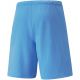 4. Spodenki Puma teamRise Short Team M 704942 18