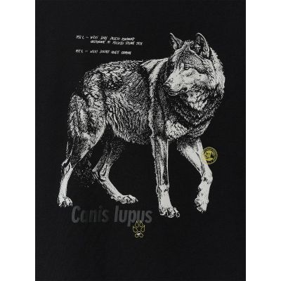 6. T-shirt regular z nadrukiem męski 4F 4FKAW26TTSHM4500-20S
