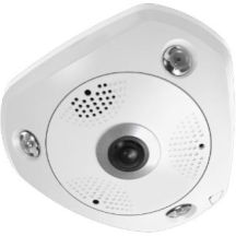 Kamera kopułkowa typu rybie oko LevelOne IPCam 12MP/H.265/IR/ 12W/PoE/IP67