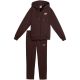2. Dres damski Puma Metallic Hooded Standard Sweat brązowy 693996 33