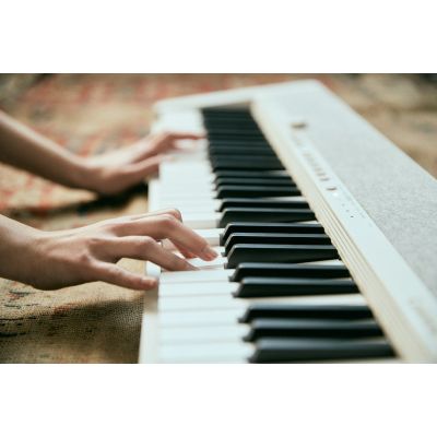 11. CASIO CT-S1 WE - Keyboard