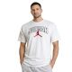 4. Koszulka męska Air Jordan Brooklyn Arch Logo T-shirt Biała - IB7347-100