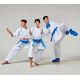 13. Rękawice do Karate - Mitts 2 BLUE WKF | MOOTO