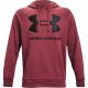12. Bluza Under Armour Rival Fleece Big Logo HD M1357093 652