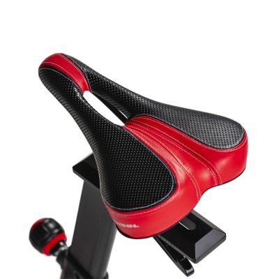 27. Rower Spinningowy Schwinn IC8