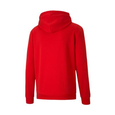 5. Bluza Puma TeamGoal 23 Casuals M 656580-01