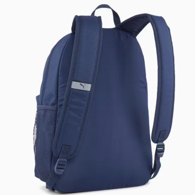 2. Pleack Puma Phase 091164-02