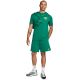 7. Spodenki męskie Nike Club zielone FQ4359 365