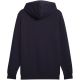 2. Bluza Puma ESS No.1 Logo Hoodie TR M 682572 16