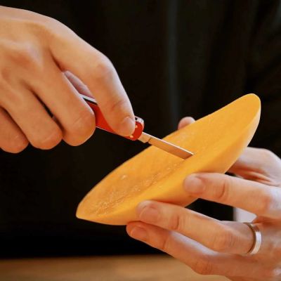 6. Nóż wielofunkcyjny NexTool Mini Pocket Knife NE0142 4w1 czerwony