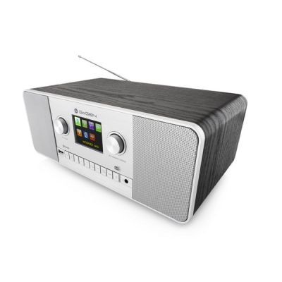 4. GoGen IR 257 BTDAB Internet Cyfrowy Srebrny