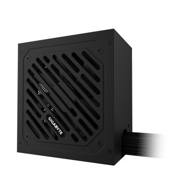 10. GIGABYTE P650SS moduł zasilaczy 650 W 20+4 pin ATX ATX Czarny