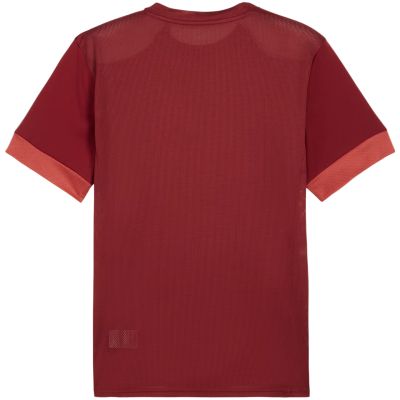 2. Koszulka męska Puma teamGoal Matchday Jersey bordowa 705747 09