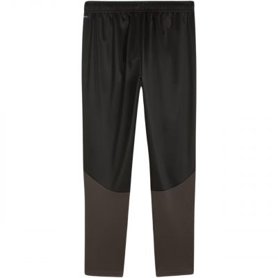 2. Spodnie Puma Team Goal Training M 658639 03