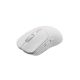 GENESIS Zircon 500 myszka Gaming Po prawej stronie RF Wireless + Bluetooth + USB Type-C Optyczny 10000 DPI