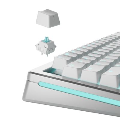 2. Glorious Gaming GLO-KB-ACC-SWT-LYNX-LUBED-36 bez kategorii