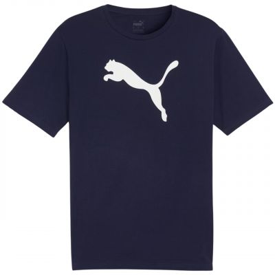 Koszulka Puma Team Rise Logo Jersey Cotton M 658705 06