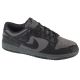 Buty Nike Dunk Low Retro W HF1986-001 