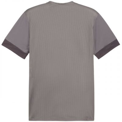 2. Koszulka Puma teamGoal Matchday Jersey M 705747 13