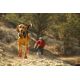 2. Ruffwear Grip Trex