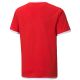 2. Koszulka Puma teamLIGA Jersey Jr 704925 01