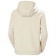 2. Bluza Helly Hansen Core Graphic Hoodie W 54239 034