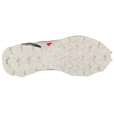 4. Buty do biegania Salomon Alphacross 5 M 473133