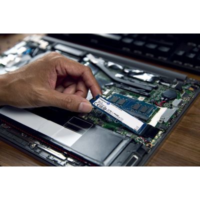 7. Kingston Technology NV3 4 TB M.2 PCI Express 4.0 NVMe 3D NAND