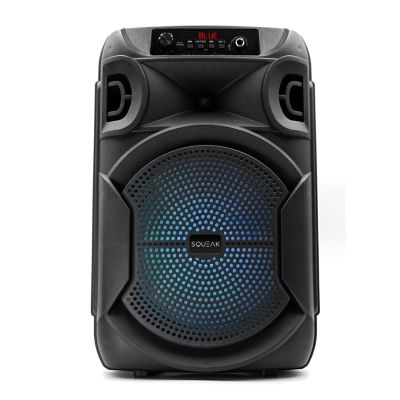 6. SQUEAK GŁOŚNIK KARAOKE PULSETOWER BLUETOOTH 5.3, RADIO FM, MICROSD, AUX, USB SQ1006
