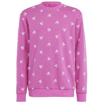 6. Bluza adidas  Bluv Swt Jr IC5573