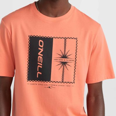 9. Koszulka O'Neill Mix & Match Palm T-Shirt M 92800613905
