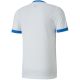 6. Koszulka Puma teamGOAL 23 Jersey M 704171 12
