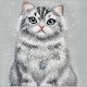 6. Etui Nimmy Lucky Fashion Cat MagSafe na iPhone 17 Pro Max - szare