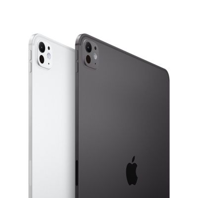 3. Apple iPad Pro 11 Wi-Fi + Cellular 256GB space schwarz (5.Gen.)