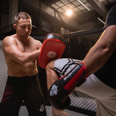 14. Tarcza treningowa PAO ze skóry naturalnej