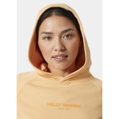 9. Bluza Helly Hansen z kapturem W Core Hoodie W 54033 316