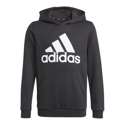 Bluza z kapturem adidas Essentials Jr GN4027