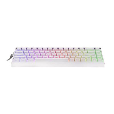 5. Klawiatura gasket HERO68HE WHITE LIGHT HOUSE Jade King switch RGB AULA