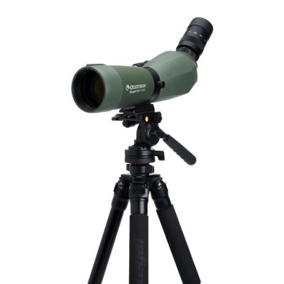 15. Celestron Regal M2 65ED luneta 48x BaK-4 Czarny, Zielony