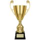 Puchar metalowy złoty T-S