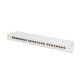 Digitus Panel krosowy (patch panel) 19'' 24x RJ45, LSA poziom, kat.6A, ekranowany, 1U, szary, prowadnica kabli