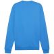 7. Bluza Puma Team Goal Casuals Crew Neck Sweat M 658592 02