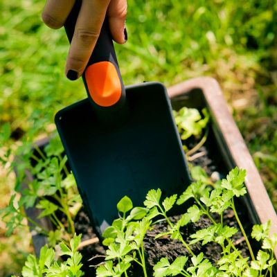 6. ŁOPATKA OGRODOWA WĄSKA