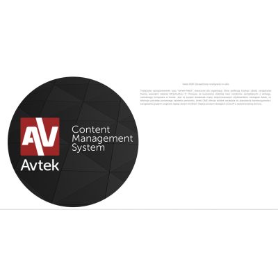 12. AVTEK MONITOR INFORMACYJNY DS2 65"