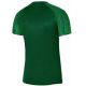 Koszulka Nike Dri-Fit Academy SS M DH8031