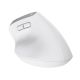 7. Mysz ergonomiczna TRUST Bayo+ Multidevice Wireless