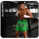 3. Spodenki tajskie męskie PASTEL GREEN V2 COMBATWEAR | DBX Bushido