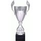 6. Puchar metalowy srebrny 4127C