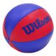 14. TABLICA DO KOSZYKÓWKI 29x24CM NBA WILSON + PIŁECZKA WTBA1302NBARD
